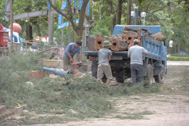 chum anh bai tam cua lo tan hoang thiet hai nang ne sau bao so 2