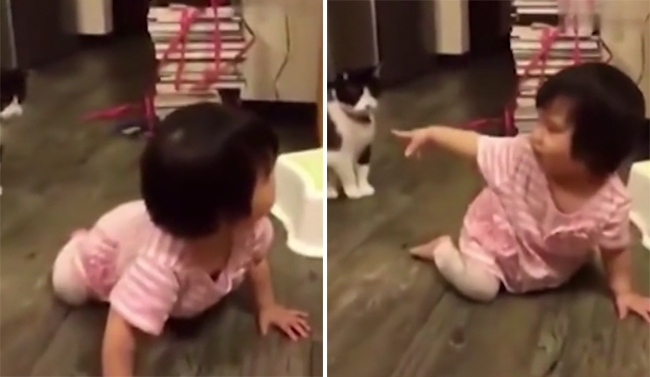 chu meo xau tinh tho chan ra ngang khien be gai nga sap mat