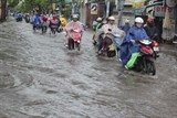 phong chong dich benh mua mua lu