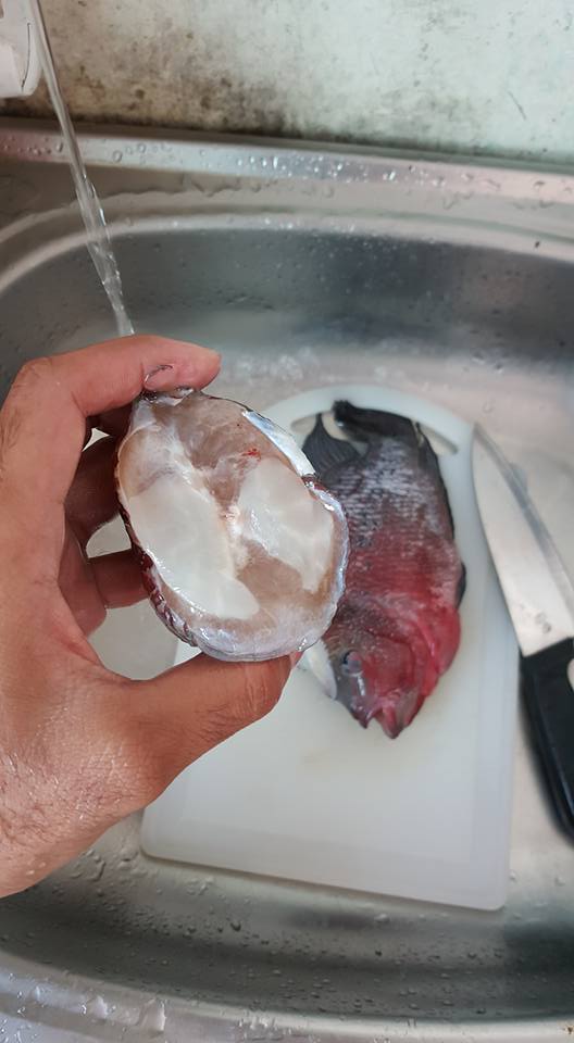 chang trai choi troi ran ca la han hang chuc trieu dong thuong thuc cho sang mom