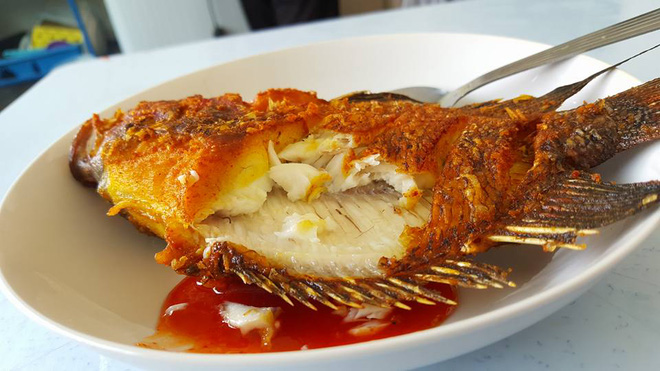 chang trai choi troi ran ca la han hang chuc trieu dong thuong thuc cho sang mom