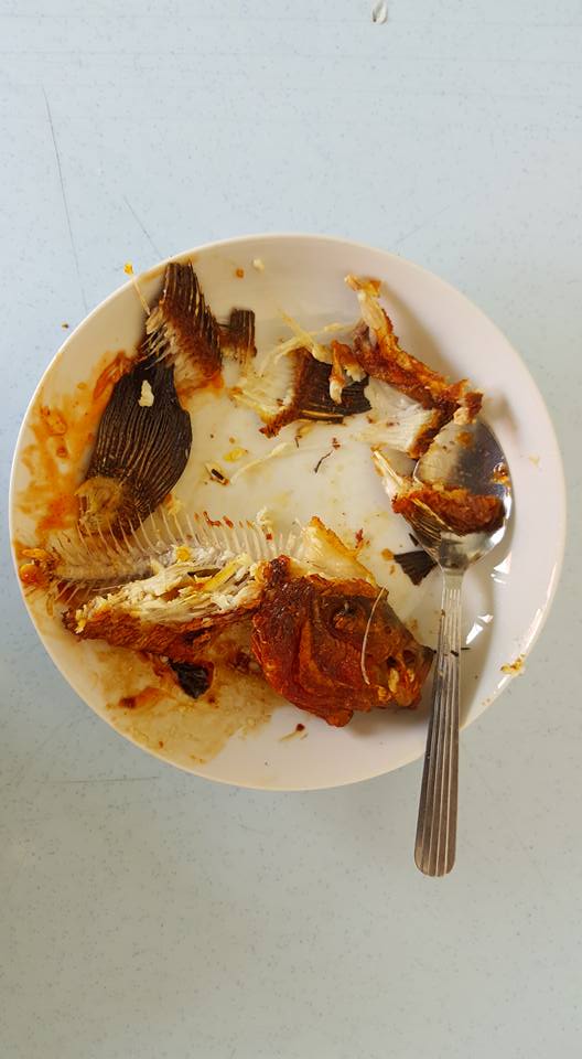 chang trai choi troi ran ca la han hang chuc trieu dong thuong thuc cho sang mom