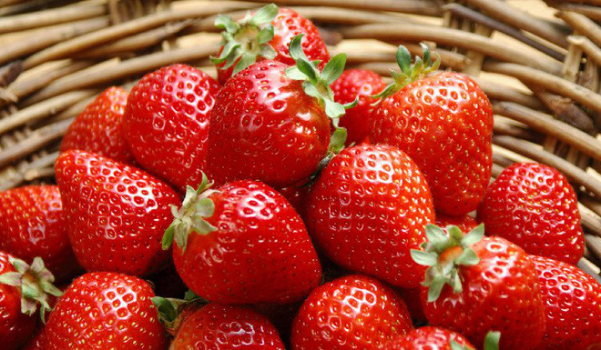 khong phai can biet rua may nuoc co ngam muoi hay khong muon dau tuoi lau thi chi can nho dung 1 nguyen tac thoi