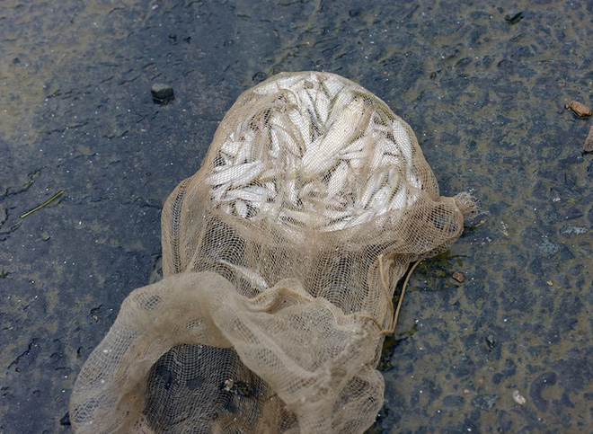 chum anh nguoi dan keo den thuy dien hoa binh chup anh check in canh xa lu