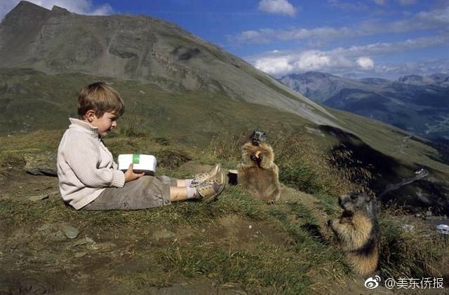 suot 9 nam cau be khong quan kho khan leo len dinh alps tham nhung nguoi ban chuot chui cua minh