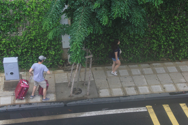 ket xe kinh hoang o cua ngo ra vao san bay tan son nhat suot nhieu gio lien