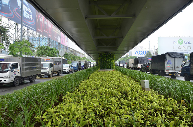 ket xe kinh hoang o cua ngo ra vao san bay tan son nhat suot nhieu gio lien