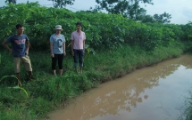 ha noi be trai 10 tuoi tu vong bat thuong o ranh nuoc tren nguoi co nhieu vet thuong