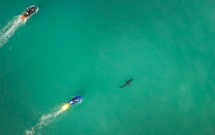 ca map bat ngo xuat hien gan van dong vien luot song tai dung noi dien ra su viec nay cach day 2 nam