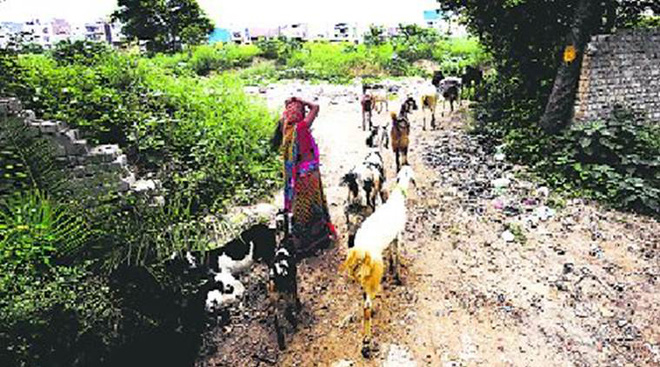 bi yeu rau xanh cuong buc siet co 2 be gai gia chet de thoat than