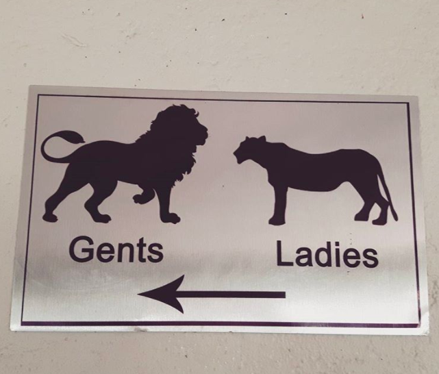 16 y tuong thiet ke bien bao nha ve sinh cong cong sang tao va ba dao