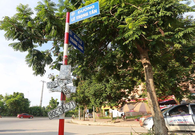 nghe kiem tien moi sau mua ngap lut o ha noi chuoc lai bien kiem soat