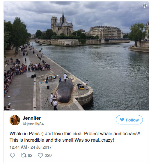 ca voi khong lo phoi nang giua long paris khien nguoi dan va du khach vo cung kinh ngac