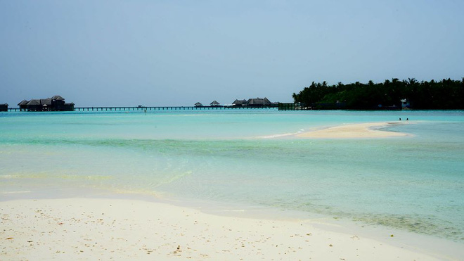 chi 250 trieu den thien duong bien malpes roi om ve that vong co nang con bi dan mang nem da du doi