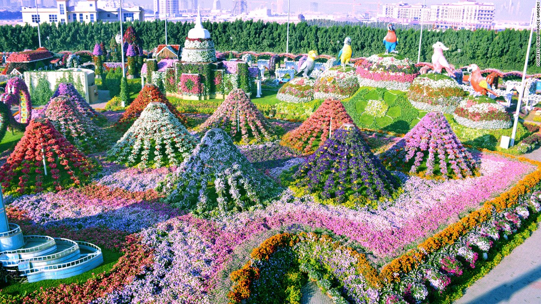 dubai miracle garden vuon hoa tu nhien lon nhat the gioi o dubai