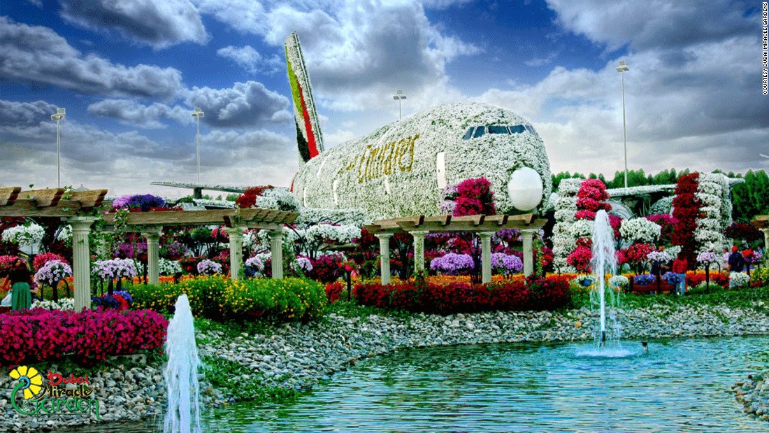 dubai miracle garden vuon hoa tu nhien lon nhat the gioi o dubai