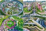 dubai miracle garden vuon hoa tu nhien lon nhat the gioi o dubai