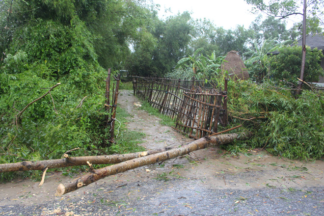 bao so 4 suy yeu thanh ap thap nhiet doi sau khi do bo vao quang tri