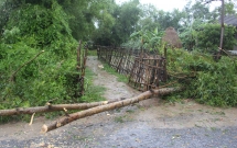 bao so 4 suy yeu thanh ap thap nhiet doi sau khi do bo vao quang tri