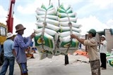 viet nam trung thau cung cap 175000 tan gao cho philippines