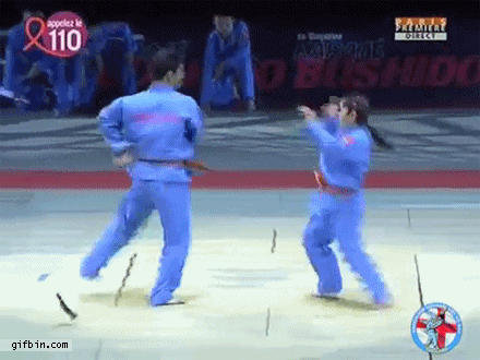 14 pha bieu dien dinh cao cua cac cao thu hanh dong