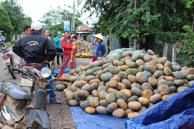 nong dan son la dieu dung vi bi do rot gia