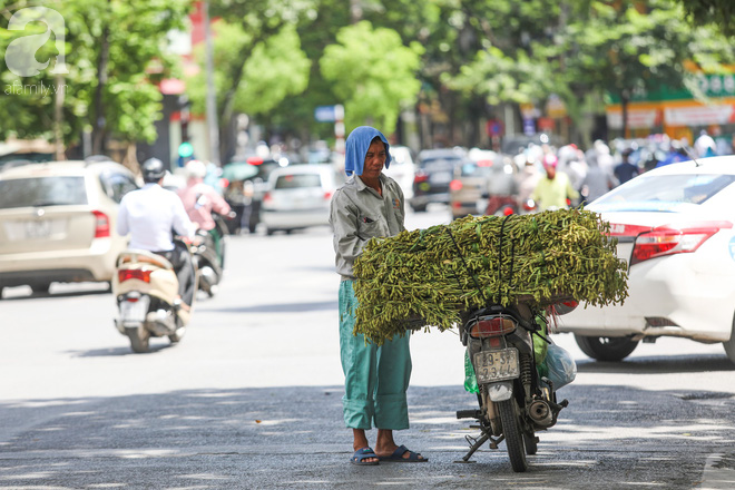 nang nong hon 40 do c nguoi dan ha noi chat vat tranh nang tu sang som