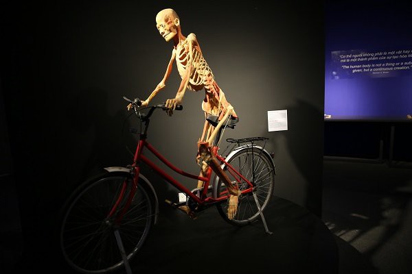 trien lam xac nguoi thai nhi dang dien ra tai tphcm khien nhieu nguoi am anh