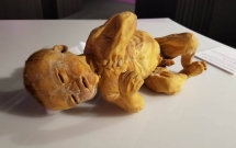 trien lam co the va noi tang cua xac nguoi that duoc nhua hoa o sai gon gay tranh cai