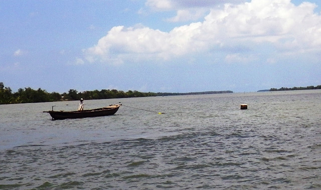 mua world cup mon the thao vua chung kien cai chet dau don cua hoang tu