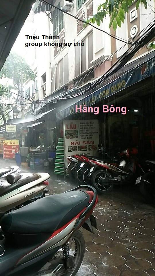xuat hien 10 phut hon 1000 binh luan buc anh doc chi co trong con mua ha noi chieu nay