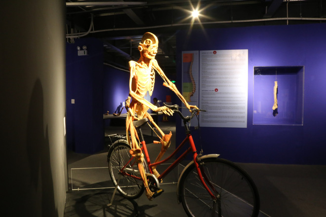 tam ngung hoat dong trien lam xac nguoi that o sai gon