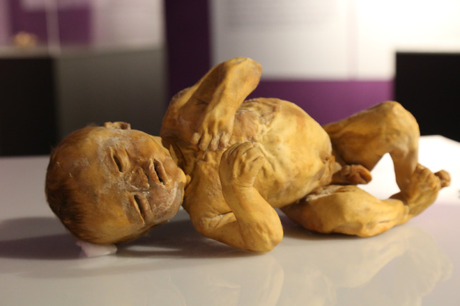 tam ngung hoat dong trien lam xac nguoi that o sai gon