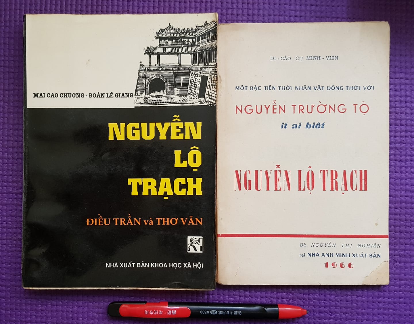 canh tan nuoc viet ky 2 nguyen lo trach thiet tha voi van nuoc
