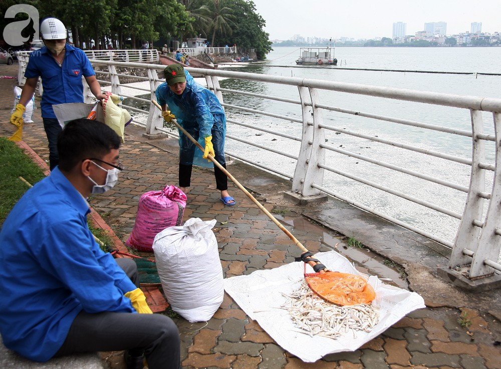 ca chet trang ho tay nguyen nhan ban dau la do thoi tiet thay doi bat thuong