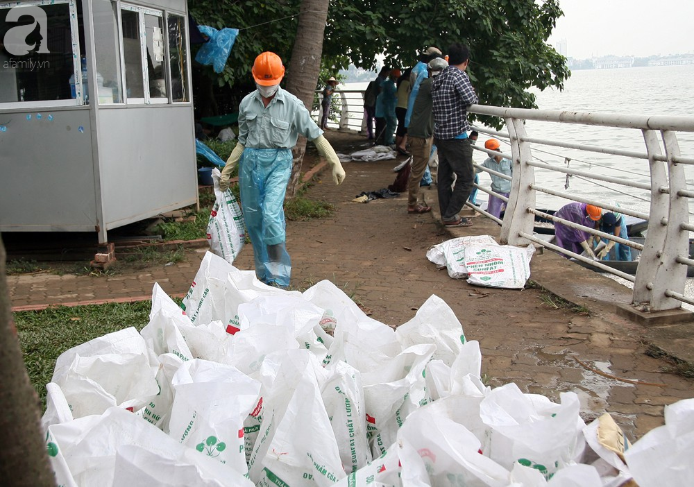 ca chet trang ho tay nguyen nhan ban dau la do thoi tiet thay doi bat thuong