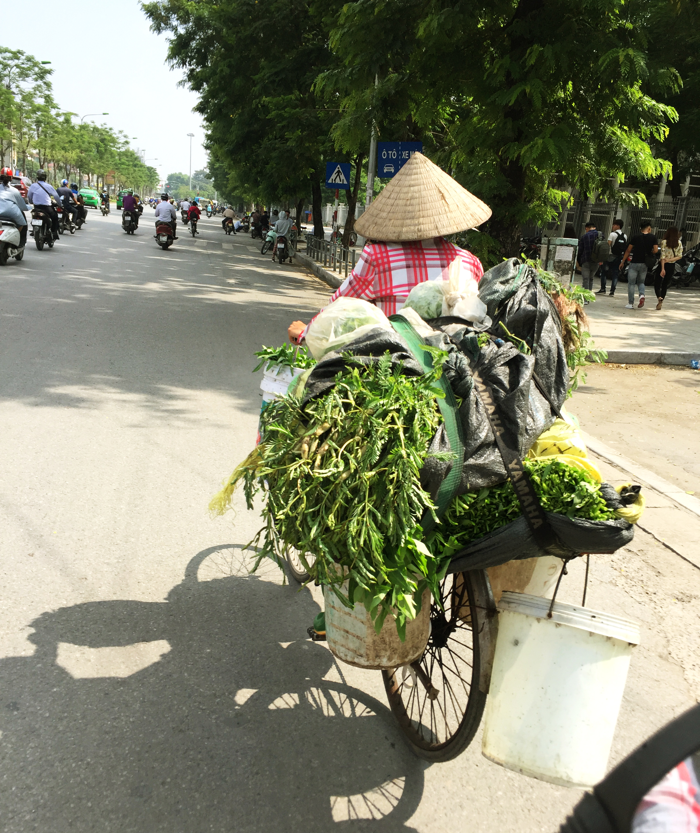 nang vo dau cuc lam phan ban hang rong