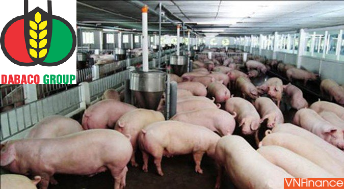 dabaco tu dai gia nuoi lon den ong trum dia oc va cu nga ngua bat ngo