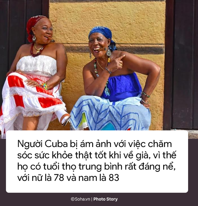 photo story 10 dieu doc dao o cuba dieu thu 6 nguoi dan nuoc khac mo cung khong duoc