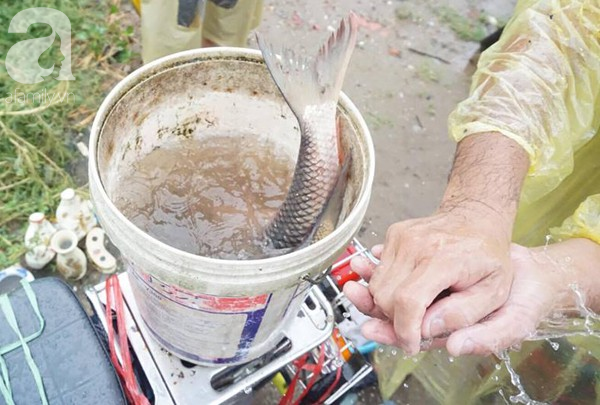 ha noi nguoi dan hao hung bat ca sau dem mua cuc lon gay ngap nhieu noi