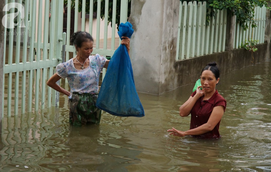 ha noi nguoi lon cung tre nho thich thu boi loi giua duong quoc lo thoi ngap lut