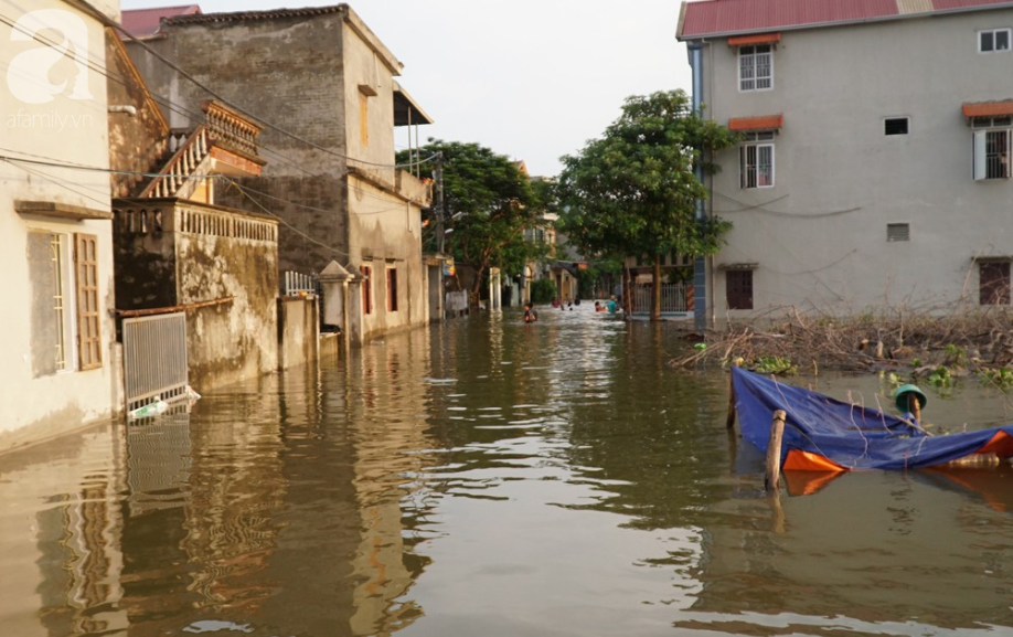 ha noi nguoi lon cung tre nho thich thu boi loi giua duong quoc lo thoi ngap lut