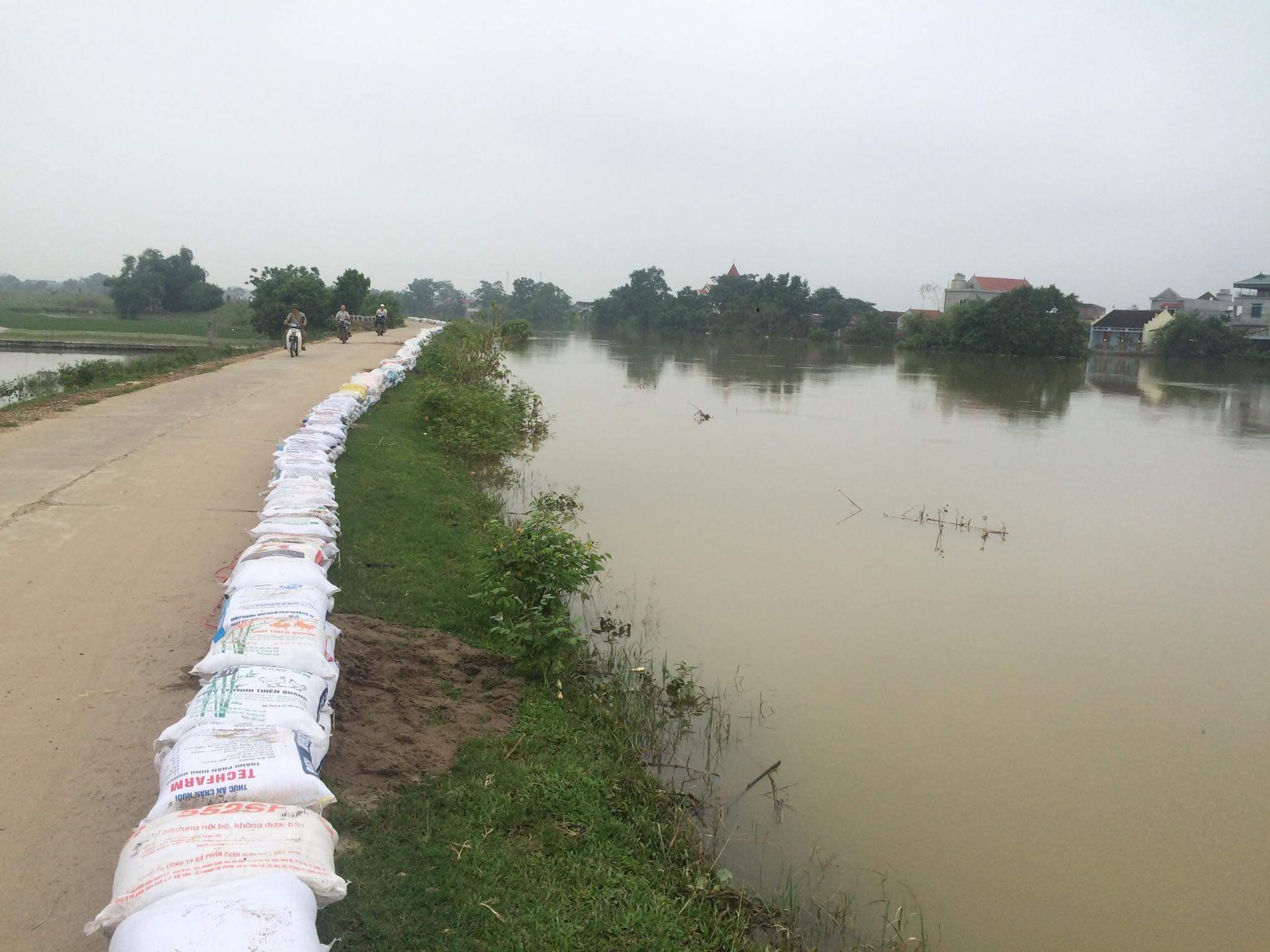 ha noi san sang di doi 14000 ho dan khi co nguy co lu lut de doa de ta bui