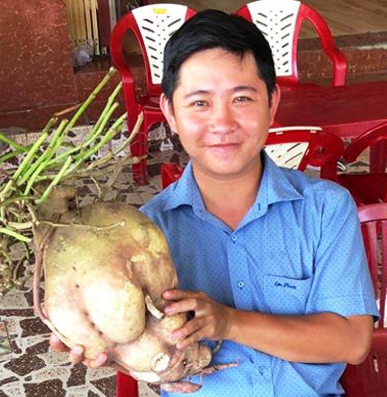 thich thu chiem nguong cu khoai lang khung o vinh long