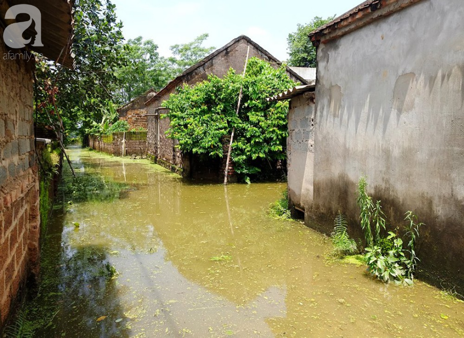 ha noi hang nghin ho dan tho phao khi de bui chuong my tam thoi duoc gia co an toan