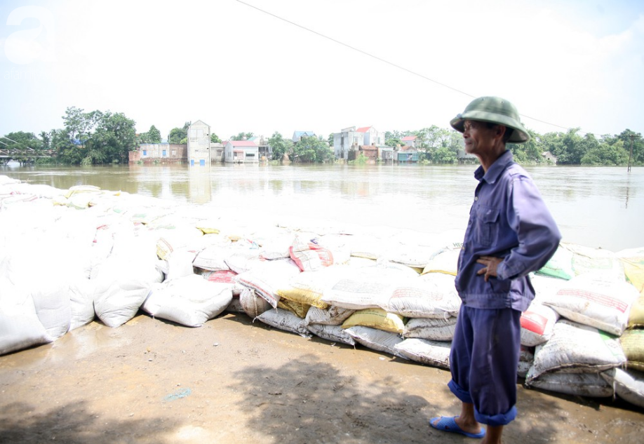 ha noi hang nghin ho dan tho phao khi de bui chuong my tam thoi duoc gia co an toan