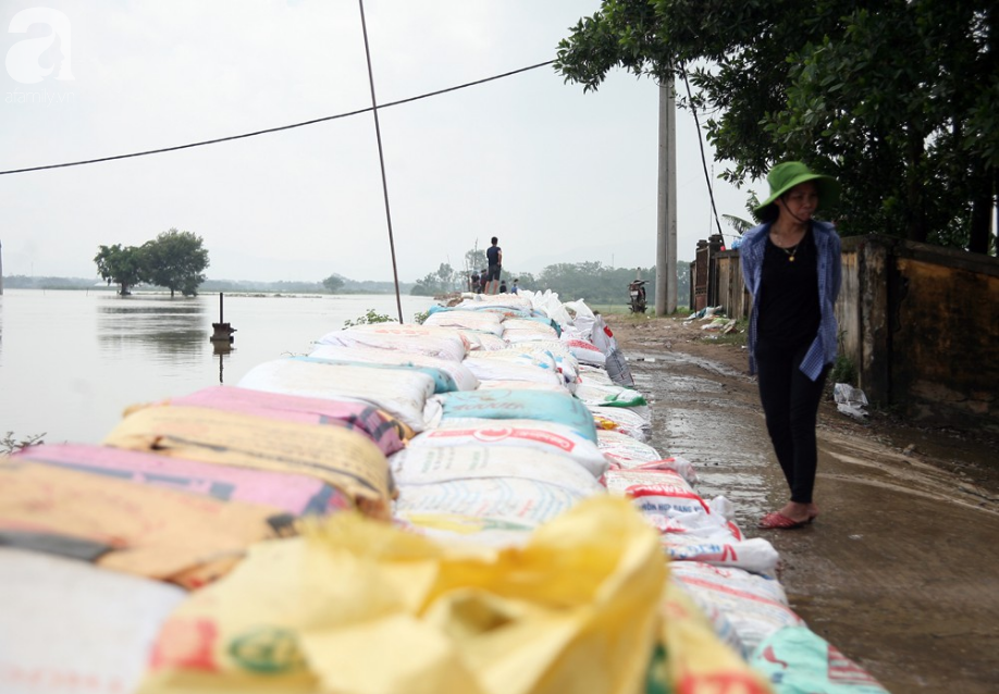 ha noi hang nghin ho dan tho phao khi de bui chuong my tam thoi duoc gia co an toan