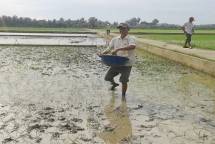 dua can cau com qua bien gioi