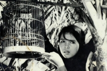 nhieu bo phim noi tieng cua viet nam duoc trinh chieu o paraguay