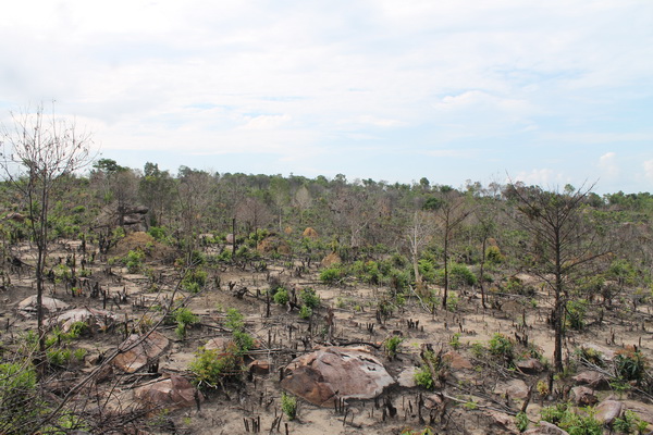 diem nong pha rung tren dao phu quoc
